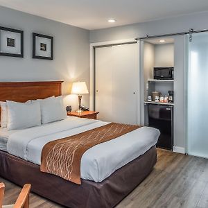 Standard Room One Queen Bed Non-Smoking