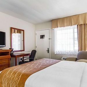 Standard Room Two Double Beds Non-Smoking
